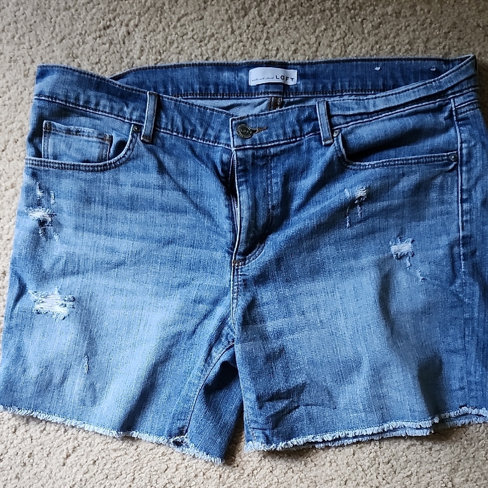LOFT Distressed Light Blue Jean Shorts